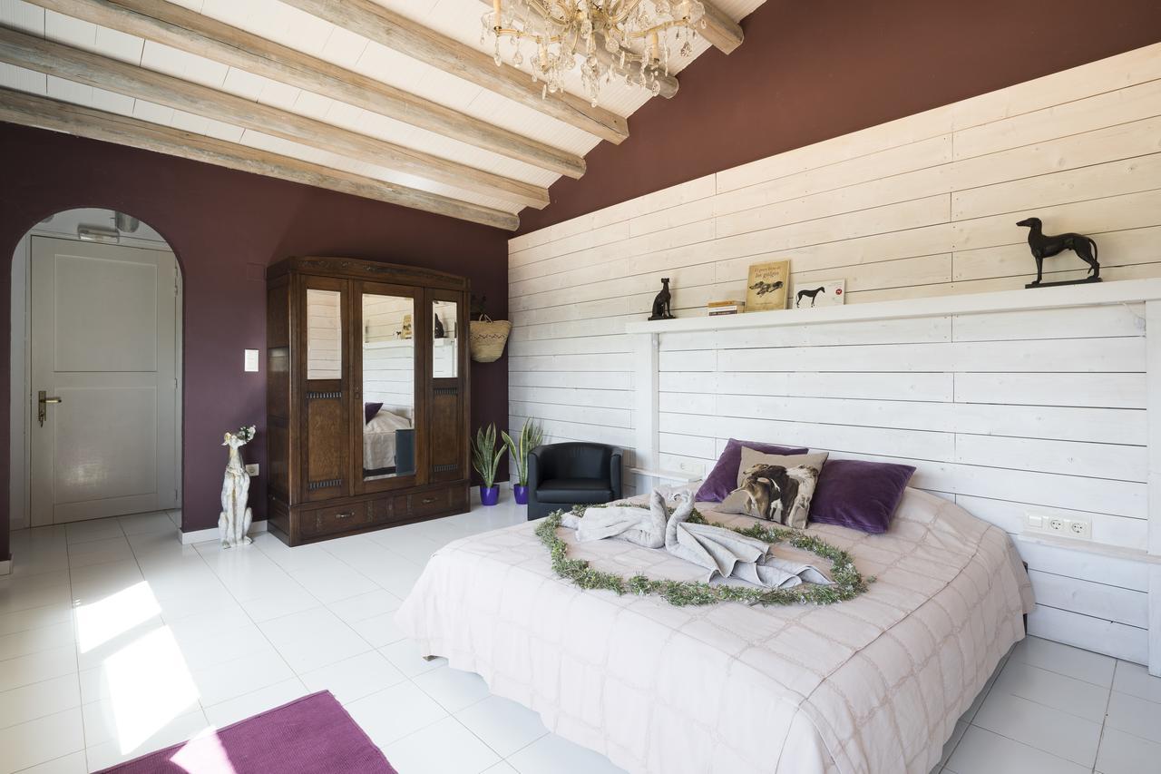 Can Patiras B&B Cistella Zewnętrze zdjęcie